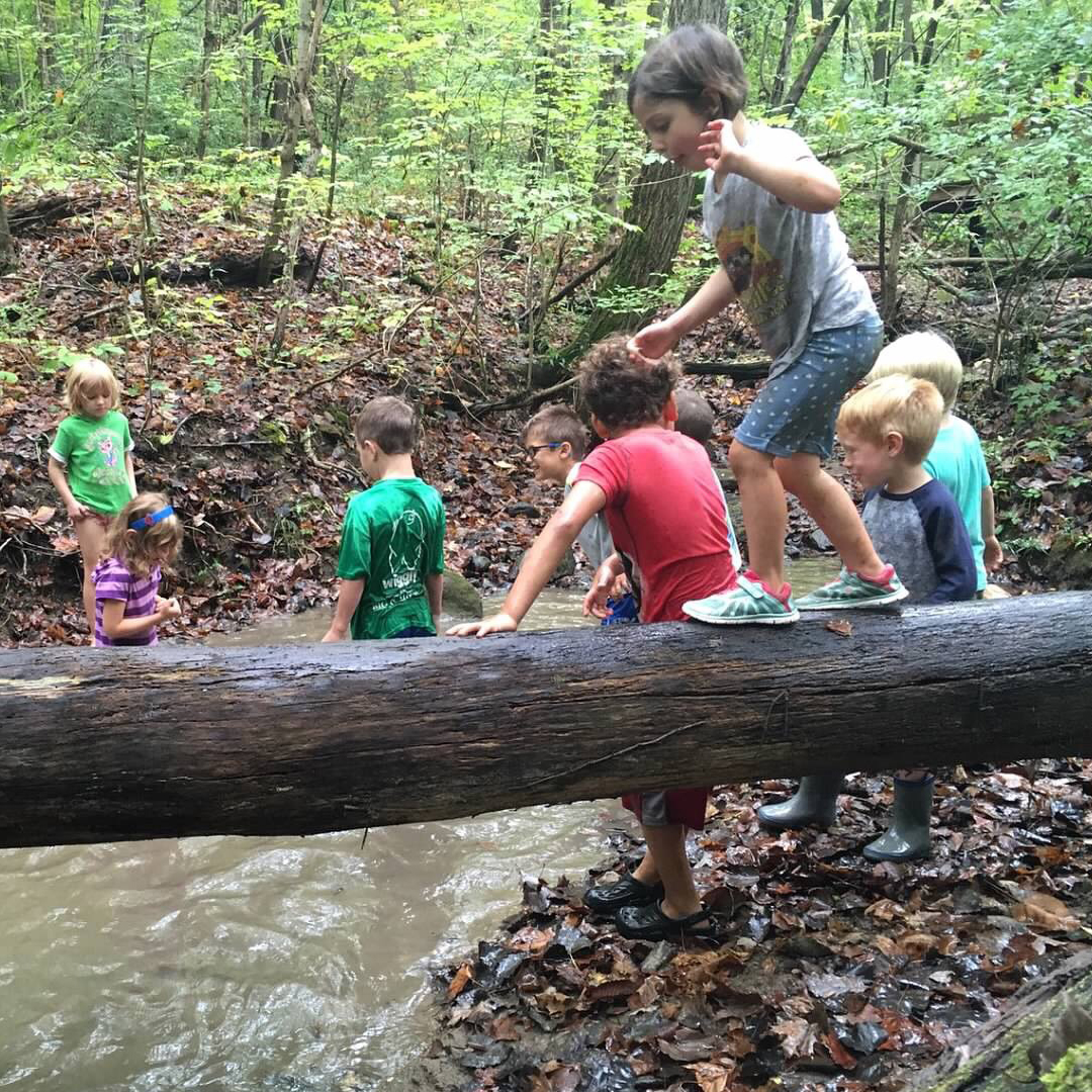 kindergarten students climbing natural log bridge over creek